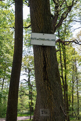 Chêne, Quercus robue, Etangs de Hollande, Parc naturel régional de la Haute Vallée de Chevreuse, Bréviaires, 78, Yvelines