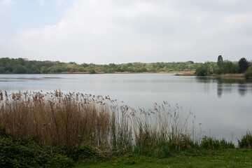 Etang des Noës, Parc naturel régional de la Haute Vallée de Chevreuse, Le Mesnil Saint denis, Yvelines, région Île de France, 78