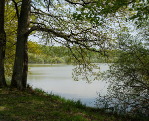 Etangs de Hollande, Parc naturel régional de la Haute Vallée de Chevreuse, Bréviaires, 78, Yvelines