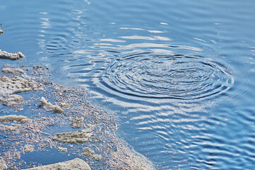 Circles diverge on the water from the place where the stone fell. Spring ice drift. Slush and ice fragments on the surface of the river. Abstract natural background.