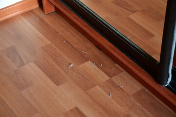 Small household dust and dust clouds on the floor of the house. It's time to clean up. Dusty brown laminate. Close-up, selective focus