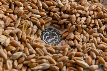 eagle icon on a hundred dollar bill dollar which is covered with wheat grain