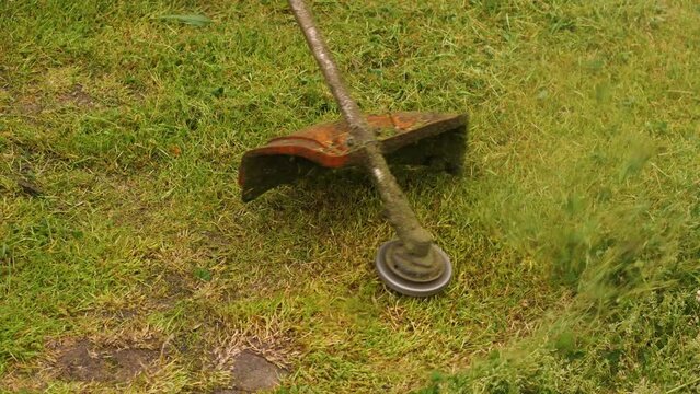 Overhead View Of The Trimmer Mowing Grass And Clover In The Backyard. Grass Clippings Flying In Different Directions. Garden Care Concept. Close-up