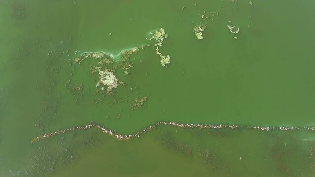 texture of the coastline of the Kyiv reservoir