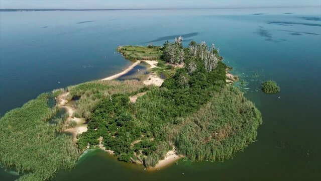 island on the Kiev reservoir