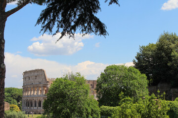 Fototapeta na wymiar Kolosseum mit Bäumen