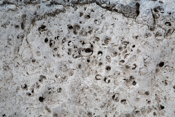 The background is made of white karst rocks with a beautiful pattern of voids in the stone. Texture backgrounds for wallpaper design graphics.