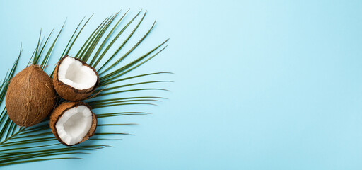 Fototapeta na wymiar Summer holidays concept. Top view photo of cracked coconuts and palm leaves on isolated light blue background with copyspace