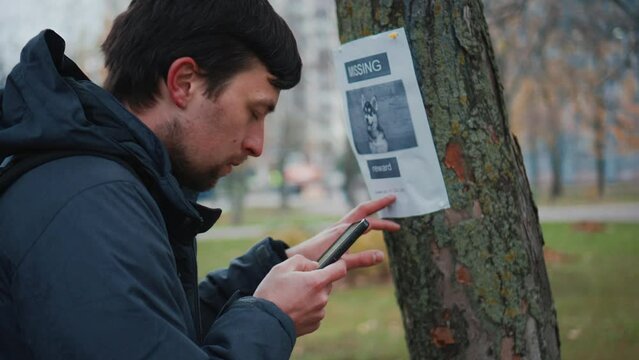 Husky dog has gone missing and happy man has found it and is calling the owner from an advertisement on tree in park. The guy dials the number from the lost puppy poster. Search for missing pets. 