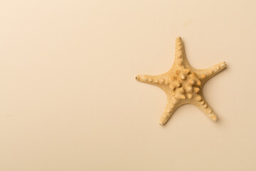 Fototapeta na wymiar Starfish on color background, top view