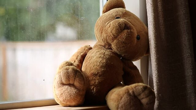 Teddy bear sitting in a window