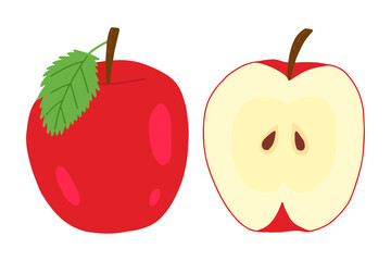 Whole apple amd apple in section vector clipart. Hand drawn apples illustration