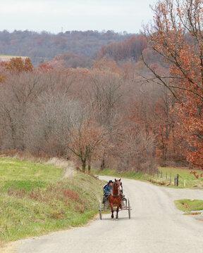 Amish Horse And Buggy On A Back Road In Wayne County, Ohio