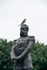 Fototapeta premium statue with bird