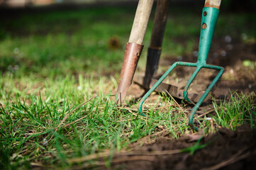 Close-up of garden tools for weeding and caring for the garden during the sowing campaign