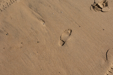 footprint in the sand close up 