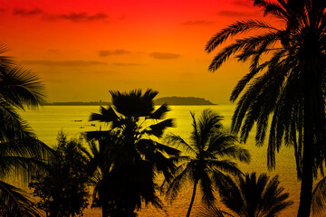 Fototapeta na wymiar Tropical sunrise on the beach – Silhouettes of coconut palm trees, view on Gorée Island, Dakar, Senegal