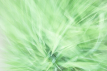 Abstract blurred background of green leaves in light colors.