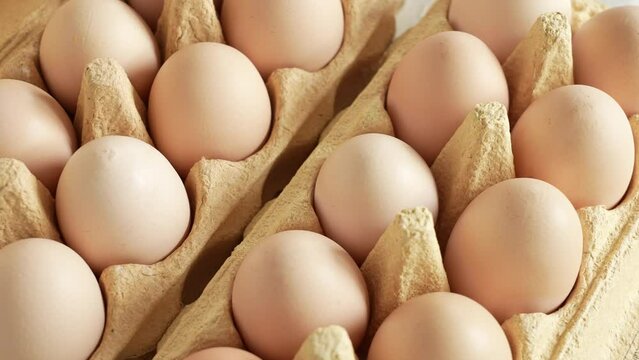 Close-up view 4k stock video footage of fresh raw organic chicken eggs from farmer isolated in paper pack. Female hand takes one egg from carton package, then puts it back inside into box