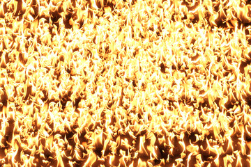 Fire, burning flame. Background image. Bright tongues of flame blazing all over the surface.