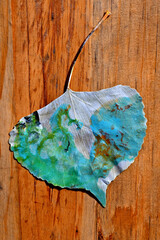 A painted deltoid shaped leaf. A leaf is used as a miniature canvas-like medium for Acrylic paint designs to be used in other projects like collage