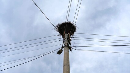 The lamppost and the stork's nest on it.