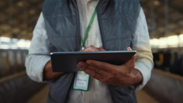 Hands tapping tablet screen closeup. Focused livestock manager work in cowshed.
