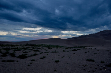 Twilight Dune 