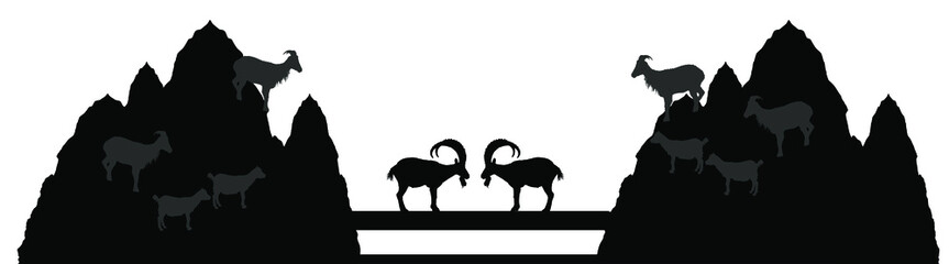 Two bighorn male goats on chump fighting vector silhouette illustration isolated on white. Angry stubborn animal battle. Alpha goat macho conflict on bridge. Natural competition for mating and family.