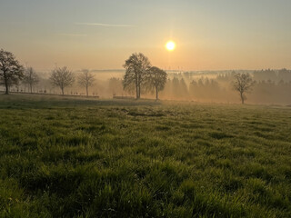 Frühnebel in der Eifel