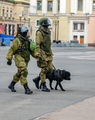 Mine clearance specialists with Labrador dog move around the city.