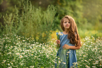 Naklejka na ściany i meble girl is standing in a camomile field and holding a bouquet 