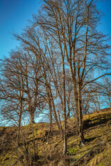 Eselsburger Tal bei Herbrechtingen