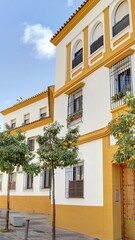 Fototapeta na wymiar dans les rues de Cordoue et dans les maisons avec cour intérieure et patio typiquement andalouse et patios, Andalousie Espagne