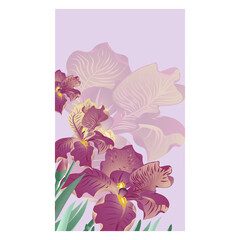 Vector banner with orange iris flowers on the lilac background. Vector illustration, wallpaper, postcards, design for natural products. Soft warm colors