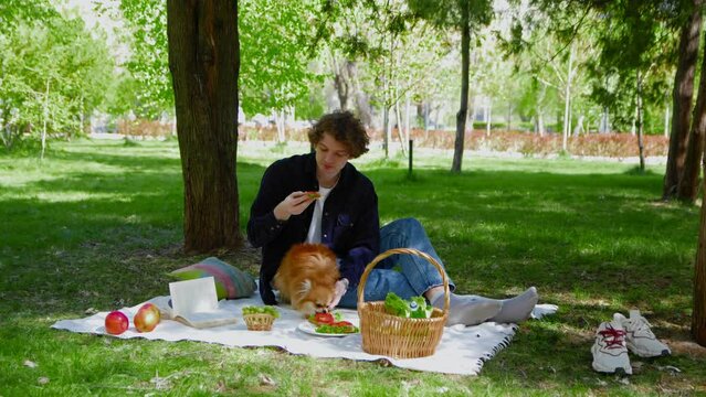 A young man is resting and eating sandwiches with his dog at a picnic in the park. Picnic in nature