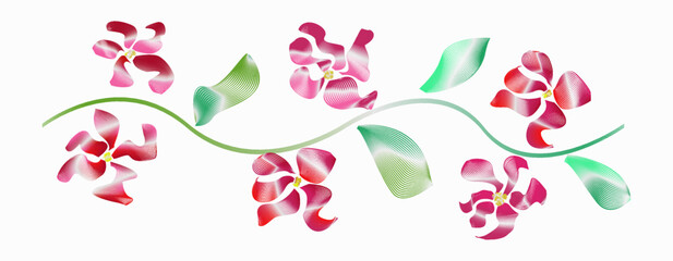 A beautiful tropical branch of a pink gradient orchid with green leaves highlighted on a white background. Illustration of vector design of beautiful red flowers.