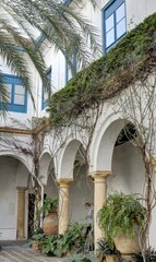 dans les rues de Cordoue et dans les maisons avec cour intérieure et patio typiquement andalouse et patios, Andalousie Espagne