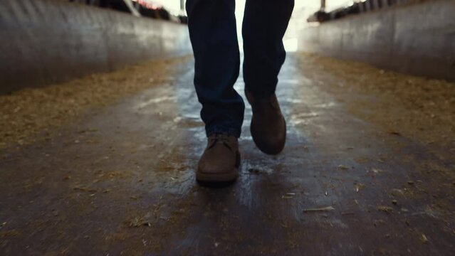 Farmer boots walking shed closeup. Confident agribusiness owner inspect feedlots