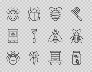 Set line Spider, Fireflies bugs in a jar, Larva insect, Mite, Fly swatter, Hive for bees and Chafer beetle icon. Vector