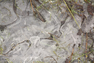 ice crystals on the puddle