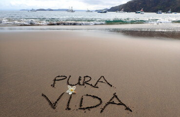 Costa Rica pacific sea life, beach life © Brian