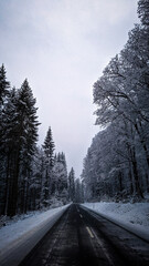 road in winter