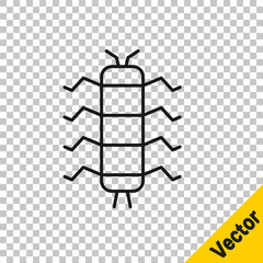 Black line Centipede insect icon isolated on transparent background. Vector