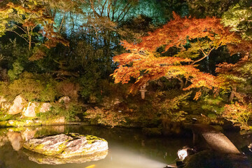 京都の紅葉ライトアップ