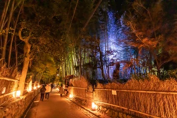 Fotobehang 京都嵐山・竹林の小径 © waiai7