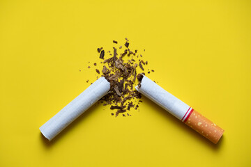 broken cigarette and the tobacco leaves inside on yellow back ground no smoking day concept.