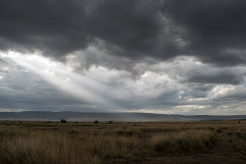 Obraz na płótnie Canvas Shafts of Light Penetrate Storm Clouds in the Maasai Mara, Kenya