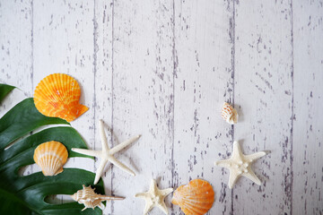 Colorful shells, Starfish, white coral sand and Tropical leaves on White wooden background. Summer...