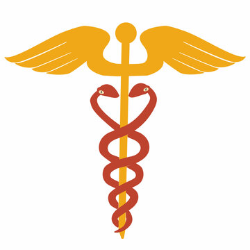 medical snakes, symbol of medicine, yellow and red color, vector, illustration